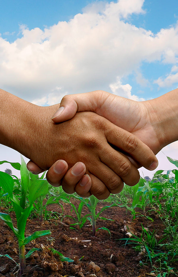Handshake in front of a field